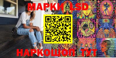 apvp Краснодар