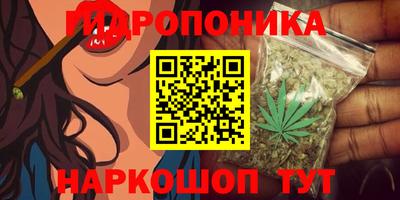 apvp Краснодар